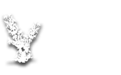 Click to return to Aloomba Lavender homepage